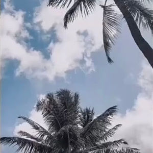 Meet your Posher, Alywren